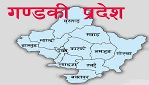 गण्डकी प्रदेशमा थप ५८ जनामा कोरोना संक्रमण