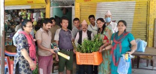 अम्लेश्वर कृषि सहकारीद्धारा किसानलाई कागतीको विरुवा वितरण