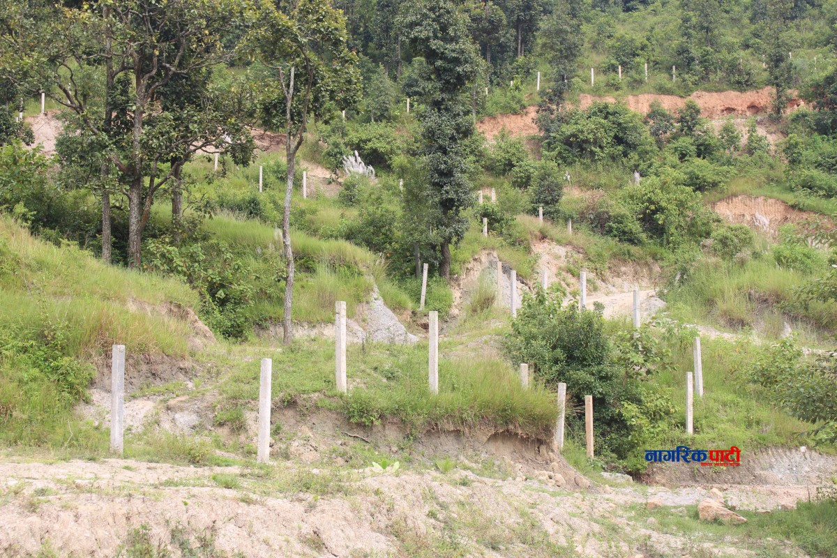 Dhunibeshi Park_Nagarikpati8.jpg