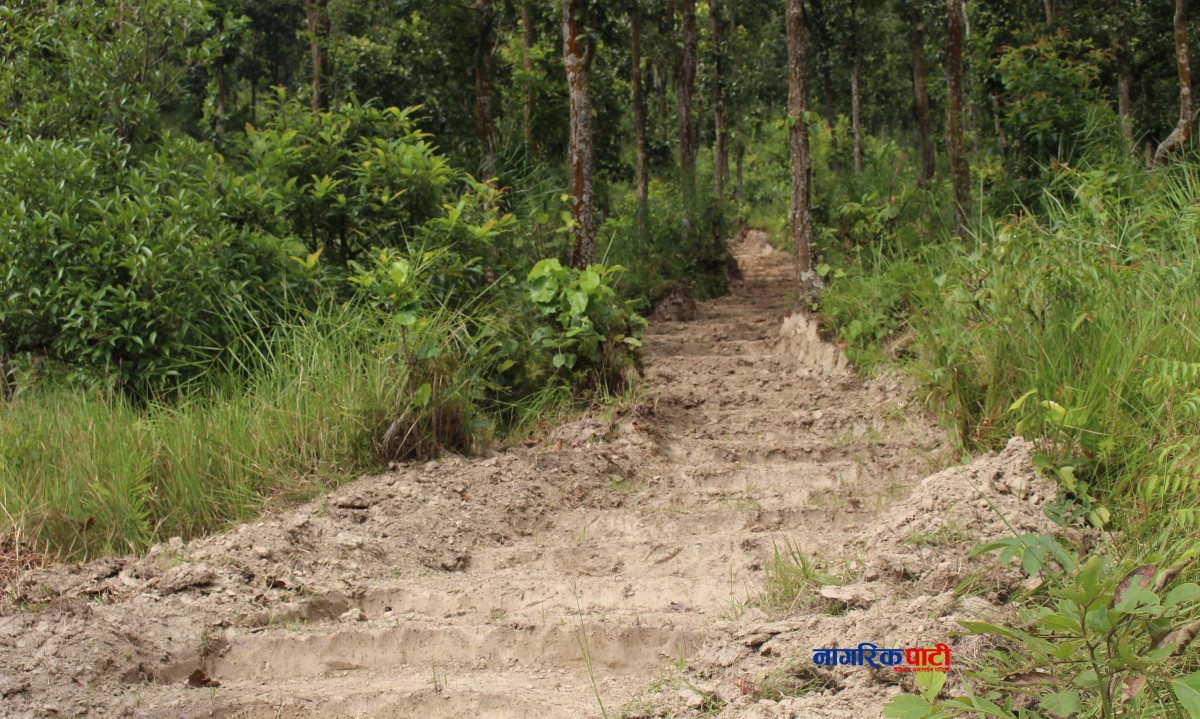 Dhunibeshi Park_Nagarikpati9.jpg