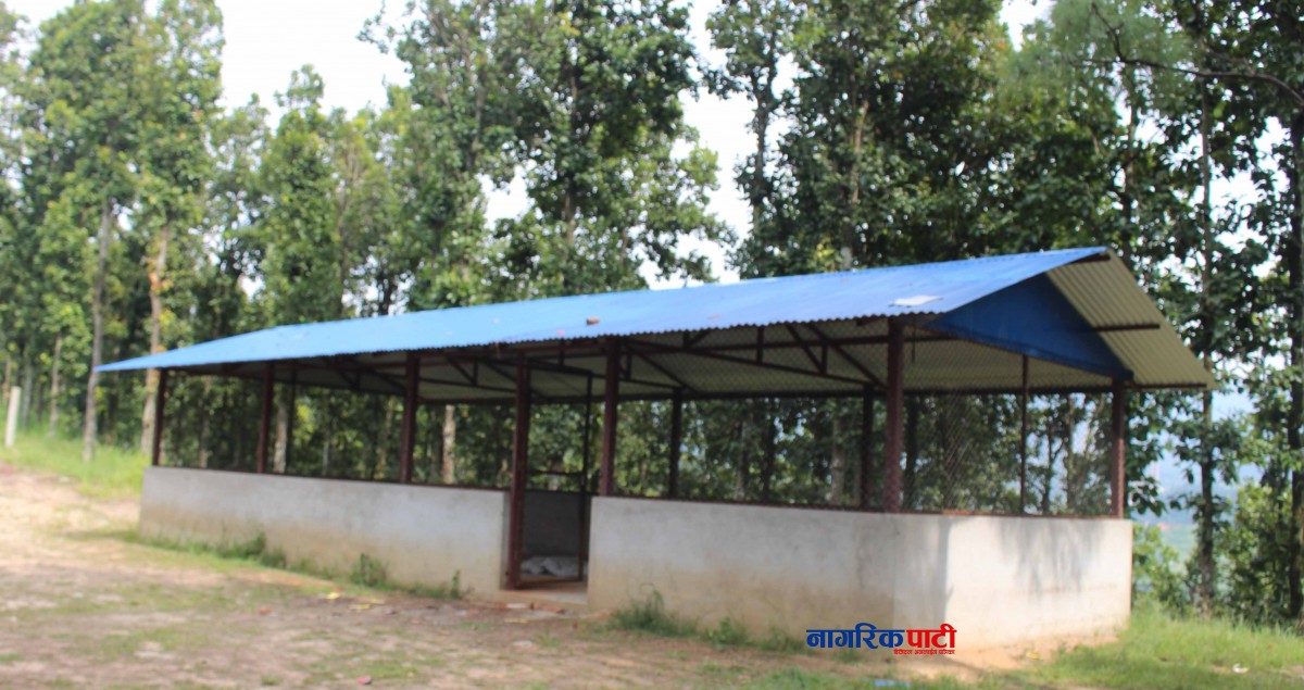 Dhunibeshi Park_Nagarikpati10.jpg