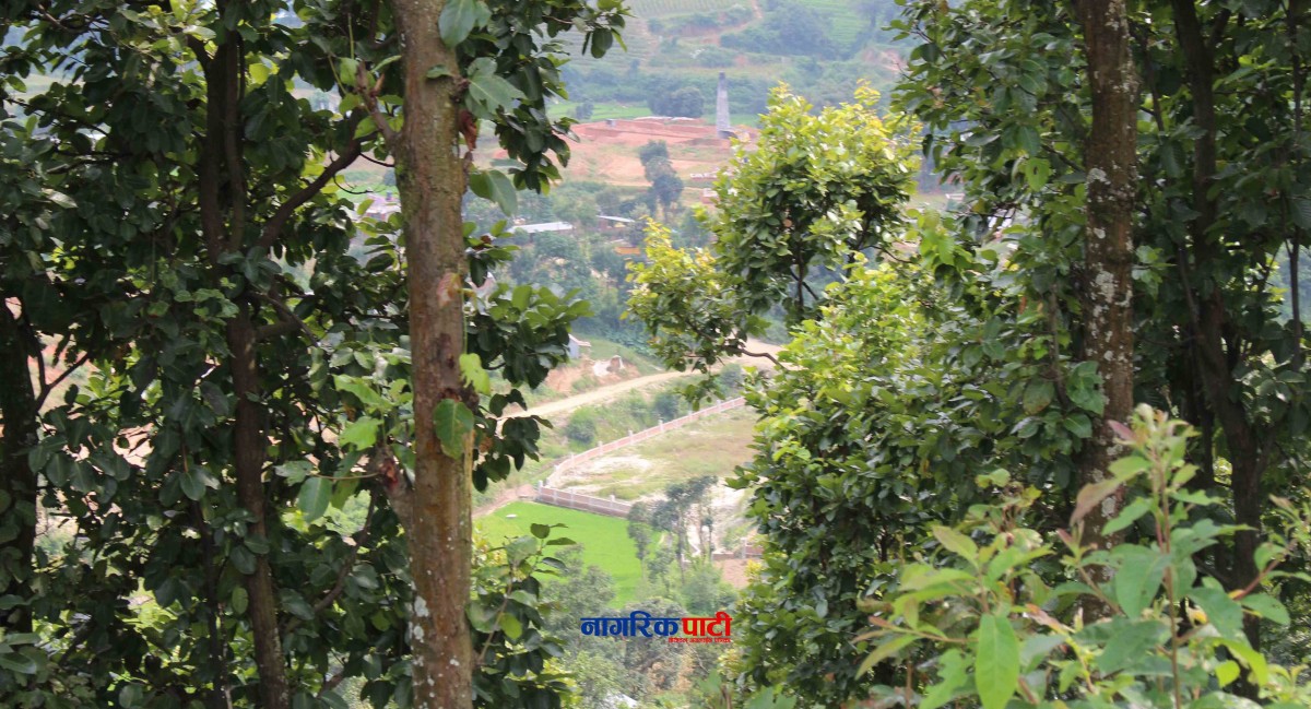 Dhunibeshi Park_Nagarikpati11.jpg