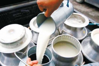 किसानलाई भुक्तानी गर्न डिडिसीलाई तिस करोड