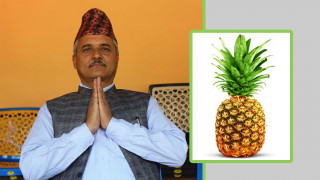 मेरो स्वतन्त्र उमेद्धवारी किन ?