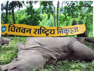 एक वर्षमा मरे २२ गैँडा