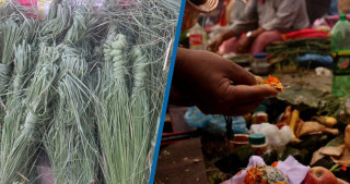 आज कुशे औंसी तथा बावुको मुख हेर्ने दिन