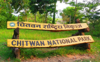निकुञ्जमा दसैँअघि जिप सफारी सुरु हुँदै