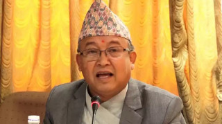 मतगणनाको नतिजा ८ दिनभित्र आउँछ : थपलिया