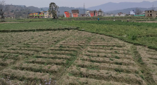 कित्ताकाट खुलेपछि चम्कियो घरजग्गा कारोबार