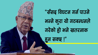 सँसद विघटन र सँविधान बारे नेता नेपालको धारणा (भिडियो)