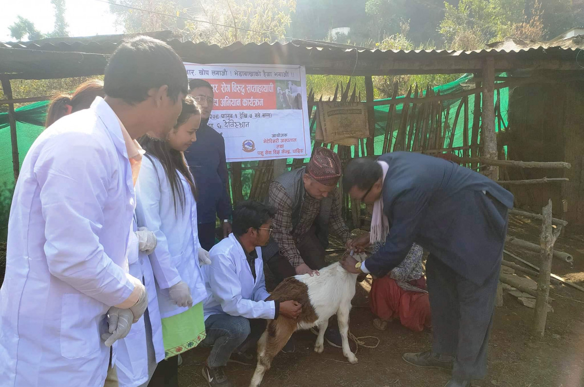 धुनिवेशीमा वडा नम्बर ६ बाट पिपिआर खोप अभियान सुरु