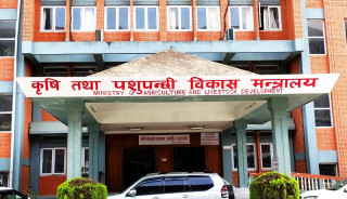 देशभर कृषि तथा पशुपालनमा क्षतिको विवरण सङ्कलन गरिँदै