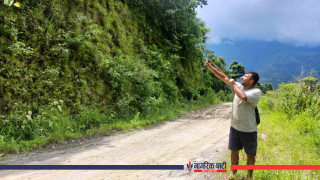 बाँदर धपाउन गुलेलीको प्रयोग