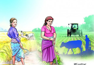 कृषि जग्गामा महिलाको पहुँच ३४.४ प्रतिशत