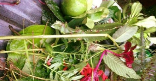 आज साउने सङ्क्रान्ति, आफन्तका साथ जम्मा भई रमाइलो गरेर मनाइँदै