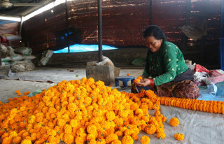 माला गाँस्दै पुर्णकुमारी