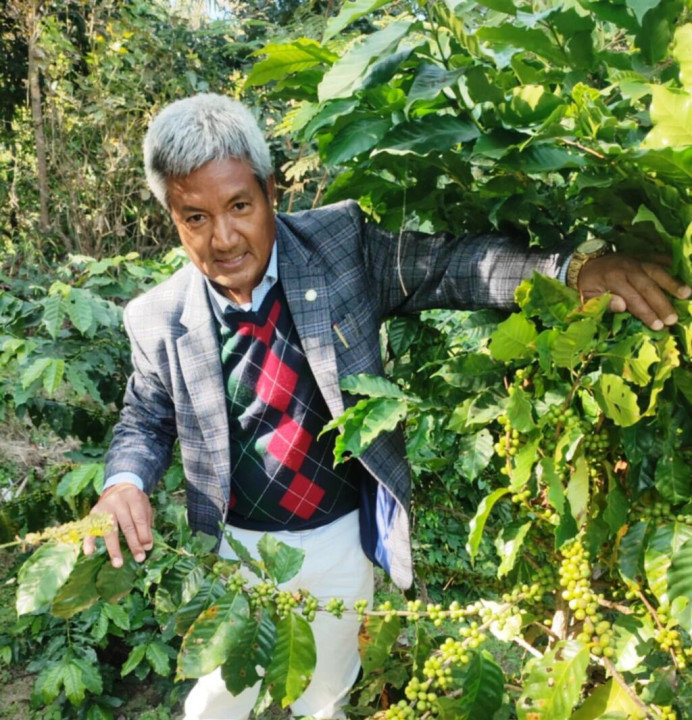 बेलकोटगढीको कुमरीलाई कफि उत्पादनको पकेट क्षेत्र बनाईँदै