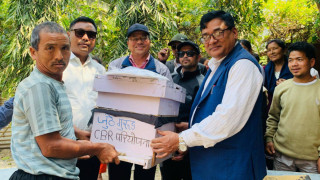बेनिघाट रोराङमा अपाङ्गता भएका व्यक्तिलाई मौरी सहितको घार वितरण