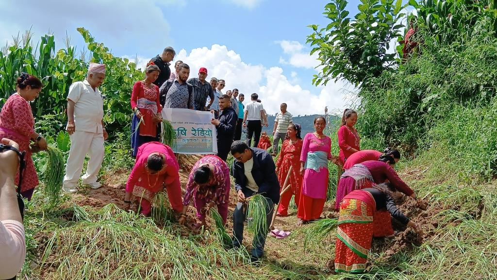 धादिङको धुनिवेशीमा मनाइयो राष्ट्रिय कोदो दिवस