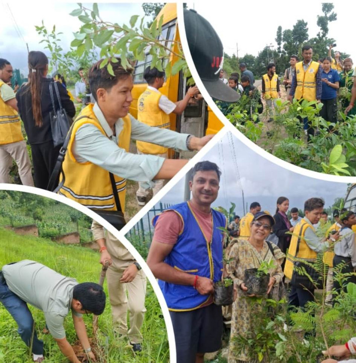 गाईजात्राको अवसरमा 'मदन स्मृति पार्क’ मा वृक्षारोपण