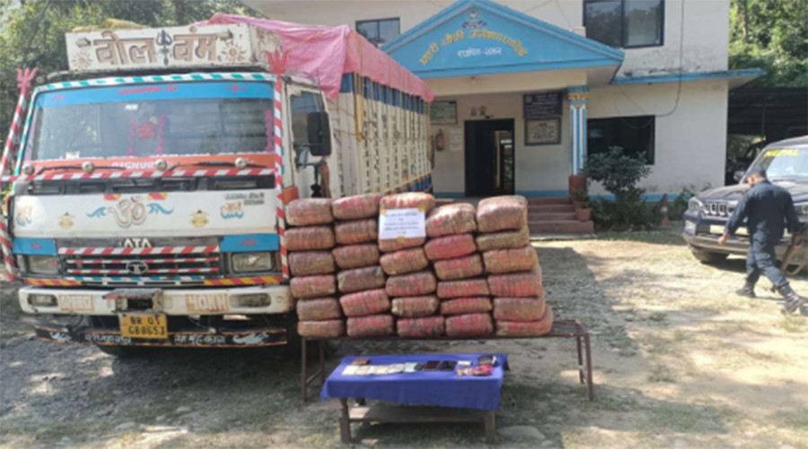 धादिङमा भारतीय नम्बर प्लेटको ट्रकबाट २१९ केजी गाँजा बरामद