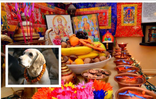 आज नरक चतुर्दशी, कुकुर तिहार र साँझ लक्ष्मीपूजा मनाइँदै