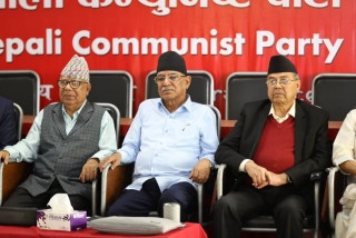 नेकपाले बनायो संविधान संशोधन कार्यदल