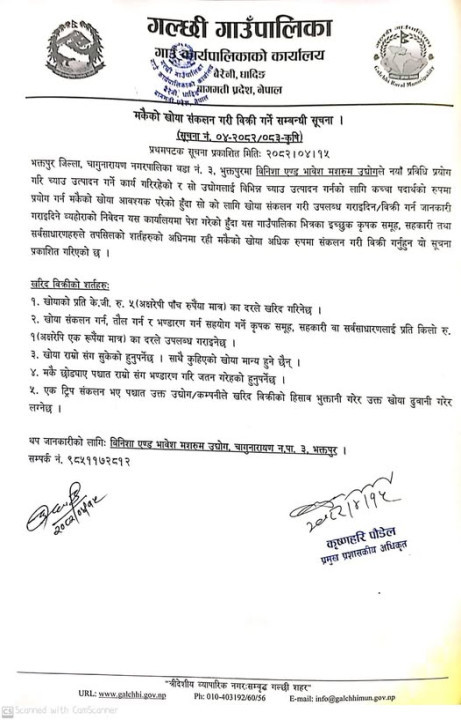 मकैको खोया संकलन गरी विक्रि गर्ने सम्बन्धी गल्छी गाउँपालिकाको सुचना