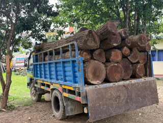 अवैध सिसौको काठसहित दुई जना पक्राउ